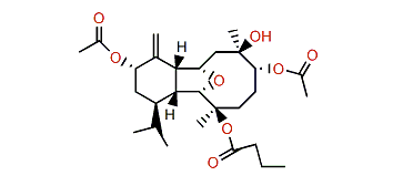 Litophynin I diacetate
